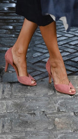 Rosa antico