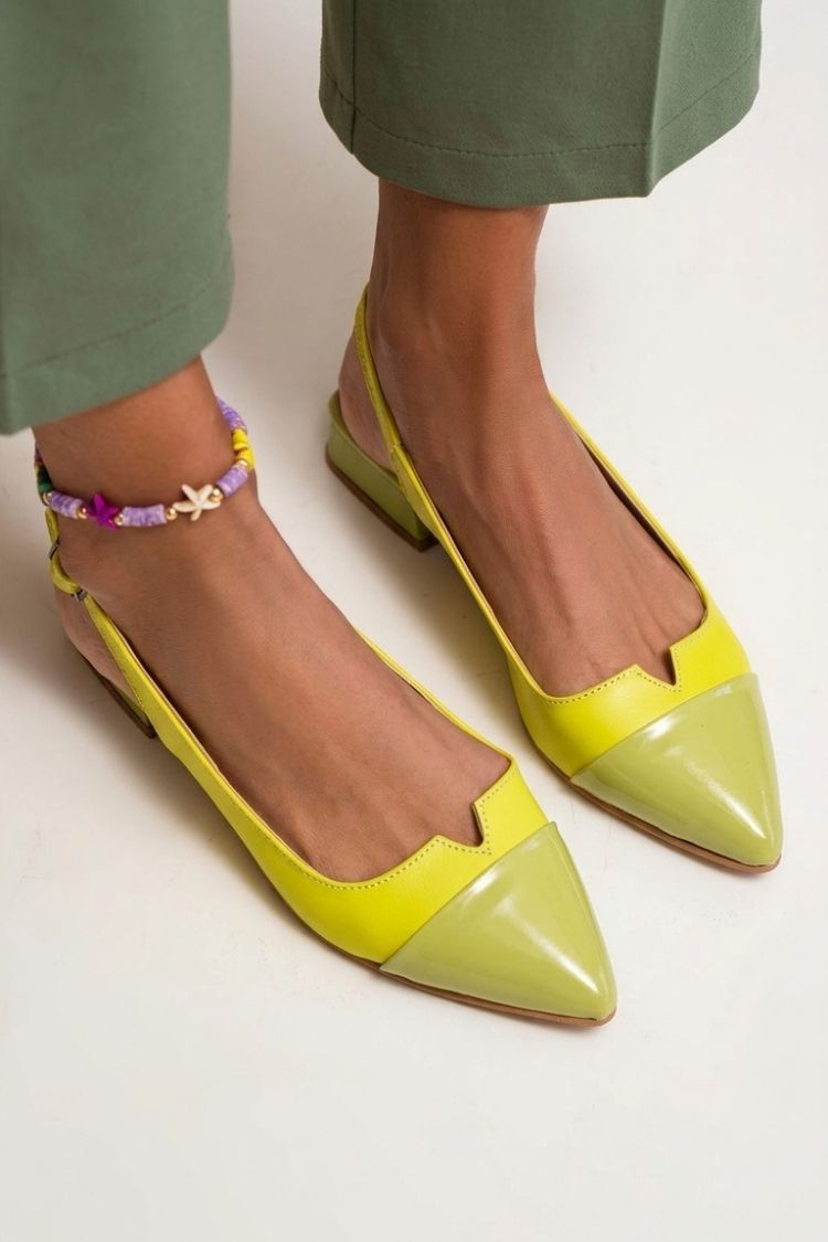 Colorblock Cut Out Buckle Slingback Strap Pointy Toe Flats